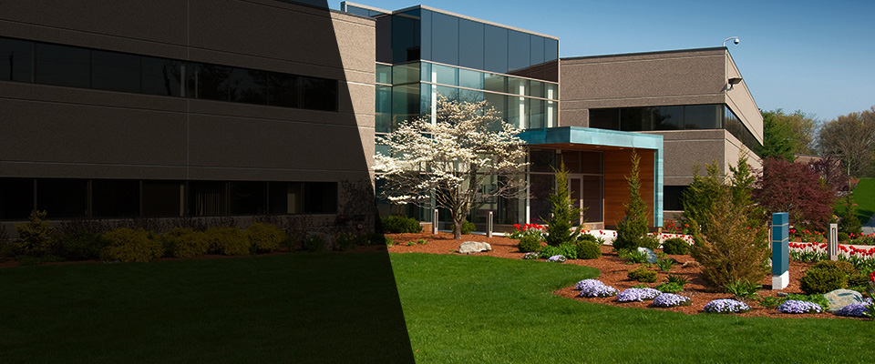 Colorado City Landscapers